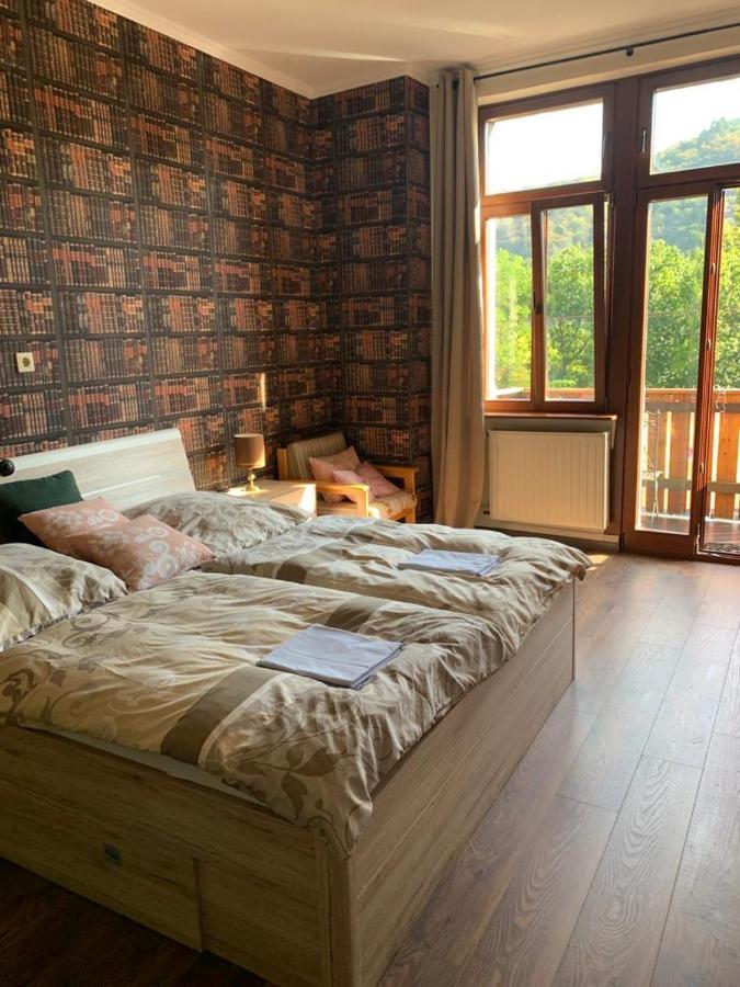 Hotelzimmer Im Alten Reihenhaus Auf Der Stadtmauer バッハラッハ エクステリア 写真